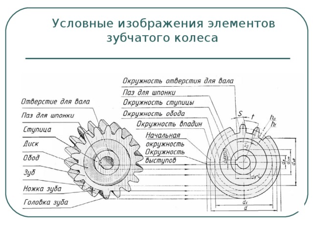 Условные изображения элементов зубчатого колеса 