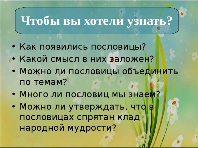 Чтобы вы хотели узнать? Как появились пословицы? Какой смысл в них заложен? Можно ли пословицы объединить по темам? Много ли пословиц мы знаем? Можно ли утверждать, что в пословицах спрятан клад народной мудрости? 
