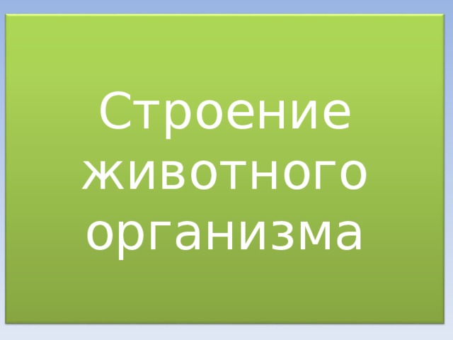 Строение животного организма 