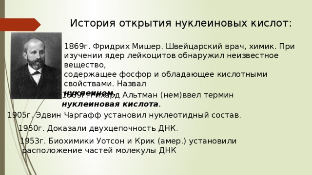 История открытия нуклеиновых кислот: 1869г. Фридрих Мишер. Швейцарский врач, химик. При изучении ядер лейкоцитов обнаружил неизвестное вещество, содержащее фосфор и обладающее кислотными свойствами. Назвал нуклеином. 1889г. Рихард Альтман (нем)ввел термин нуклеиновая кислота . 1905г. Эдвин Чаргафф установил нуклеотидный состав . 1950г. Доказали двухцепочность ДНК . 1953г. Биохимики Уотсон и Крик (амер.) установили  расположение частей молекулы ДНК 