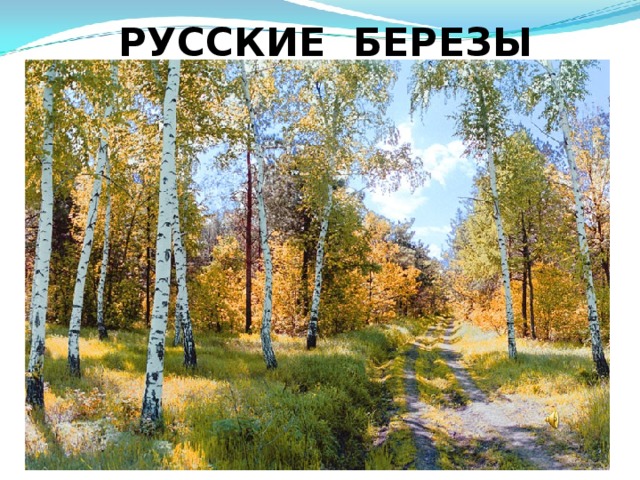РУССКИЕ БЕРЕЗЫ 