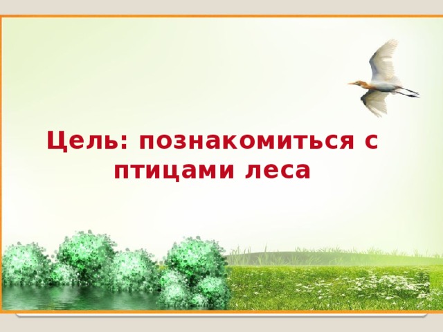 Цель: познакомиться с птицами леса 