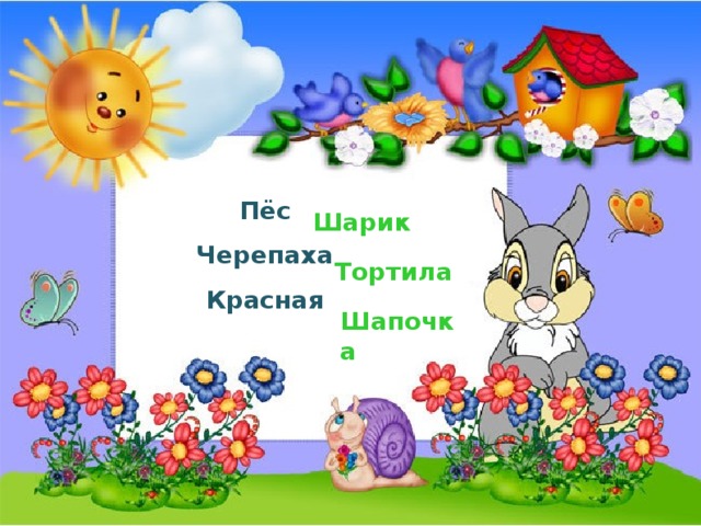 Пёс Черепаха Красная Шарик Тортила Шапочка  