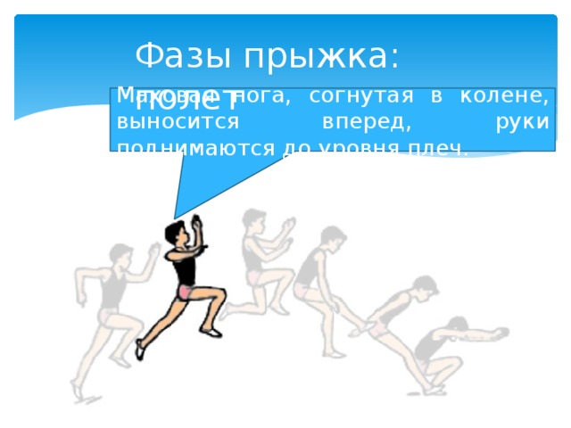 Фазы прыжка: полет Маховая нога, согнутая в колене, выносится вперед, руки поднимаются до уровня плеч.