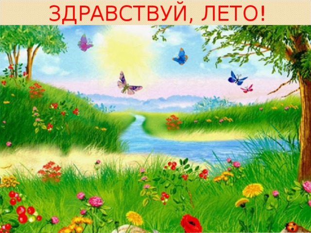 ЗДРАВСТВУЙ, ЛЕТО! 