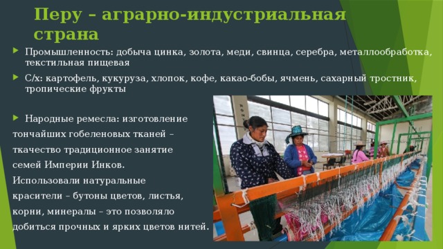 Падуб парагвайский Кебрачо 