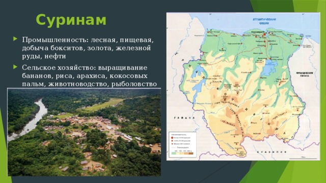 Колумбия Первое колонизированное государство Новая Гранада Традиционные отрасли: добыча изумрудов, соли и золота (с 1718 г.) – 90% мировой добычи Добыча каменного угля и нефти Развито с/х: кофе, хлопок, табак 