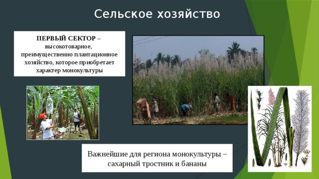 Промышленность  Индустриальный облик региона определяют Аргентина, Бразилия и Мексика («большая тройка», на которую приходится 2/3 промышленного производства Латинской Америки, за счет внутреннего производства она обеспечивает уже более 90 % потребляемой промышленной продукции), а также Чили, Венесуэла, Колумбия и Перу   