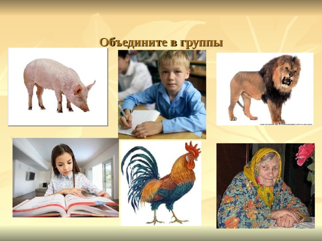 Объедините в группы 