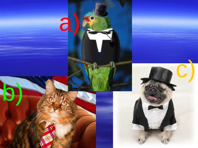 a) c) b) 