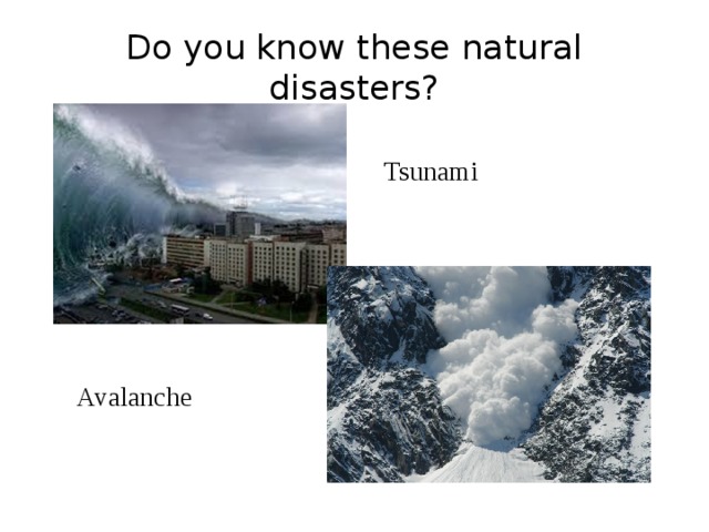 Do you know these natural disasters? Tsunami Avalanche 