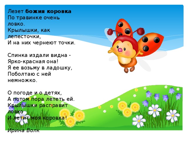 Лезет божия коровка По травинке очень ловко. Крылышки, как лепесточки, И на них чернеют точки. Спинка издали видна - Ярко-красная она! Я ее возьму в ладошку, Поболтаю с ней немножко. О погоде и о детях, А потом пора лететь ей. Крылышки расправит ловко И летит моя коровка!  Ирина Волк 