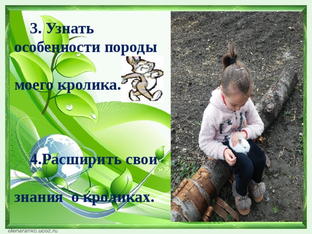  3. Узнать особенности породы моего кролика.   4 .Расширить свои знания о кроликах.   