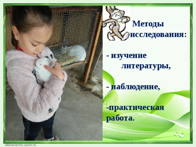  Методы  исследования:  - изучение  литературы,  - наблюдение,  -практическая работа.  