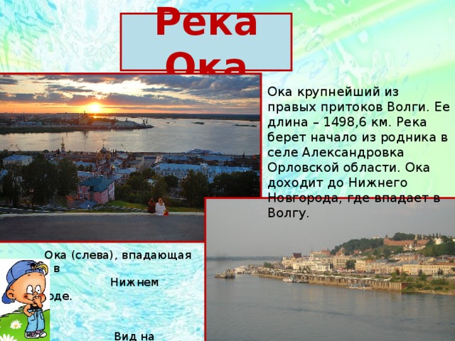 Ока крупнейший из правых притоков Волги. Ее длина – 1498,6 км. Река берет начало из родника в селе Александровка Орловской области. Ока доходит до Нижнего Новгорода, где впадает в Волгу. Река Ока  Ока (слева), впадающая в Волгу в  Нижнем Новгороде.  Вид на Нижегородский  кремль (Ока) 
