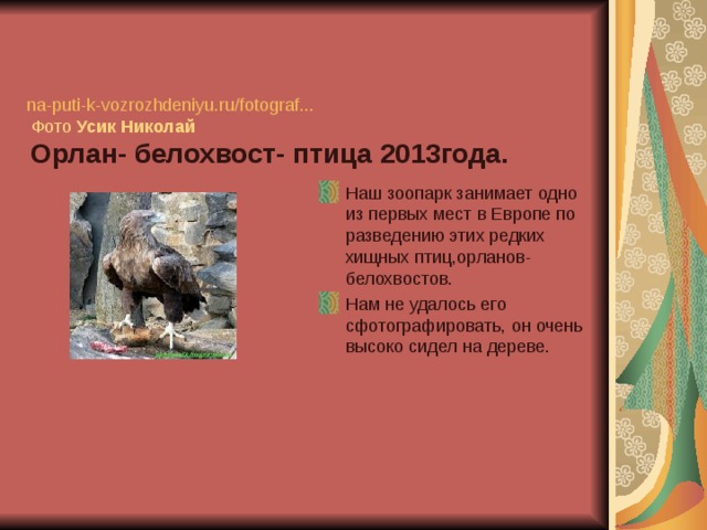    na-puti-k-vozrozhdeniyu.ru / fotograf ...  Фото Усик   Николай    Орлан- белохвост- птица 2013года. Наш зоопарк занимает одно из первых мест в Европе по разведению этих редких хищных птиц,орланов-белохвостов. Нам не удалось его сфотографировать, он очень высоко сидел на дереве. 