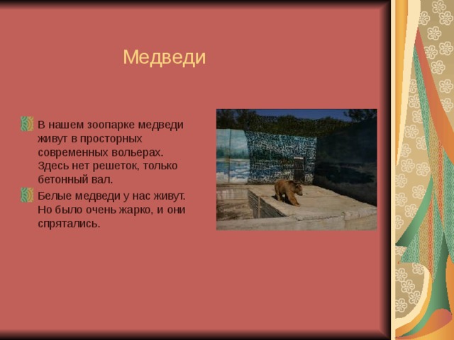    Медведи   В нашем зоопарке медведи живут в просторных современных вольерах. Здесь нет решеток, только бетонный вал. Белые медведи у нас живут. Но было очень жарко, и они спрятались. 