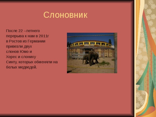 После 22 –летнего перерыва к нам в 2011г в Ростов из Германии привезли двух слонов Юмо и Хорес и слониху Синту, которых обменяли на белых медведей. 