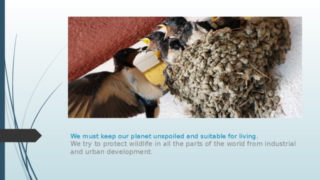 We must keep our planet unspoiled and suitable for living. We try to protect wildlife in all the parts of the world from industrial and urban development. 
