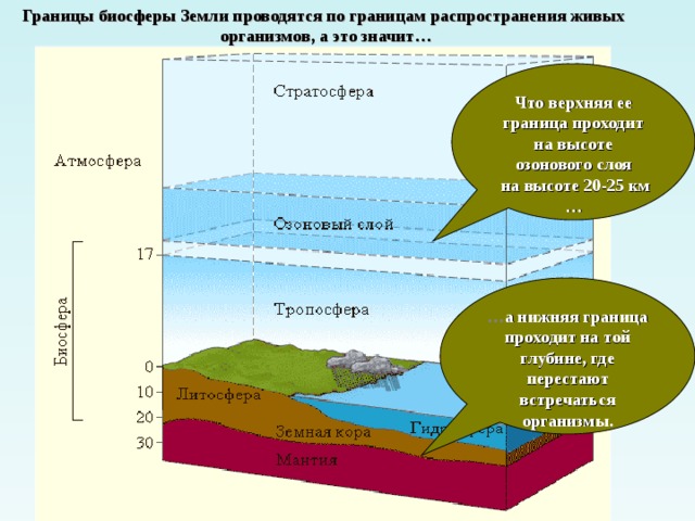 Границы биосферы Земли проводятся по границам распространения живых организмов, а это значит… Что верхняя ее граница проходит на высоте озонового слоя  на высоте 20-25 км … … а нижняя граница проходит на той глубине, где перестают встречаться организмы. 