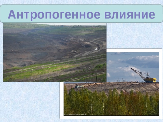 Антропогенное влияние 