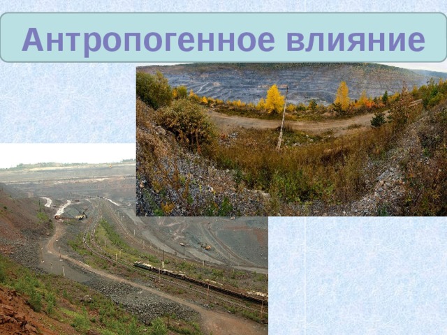 Антропогенное влияние 