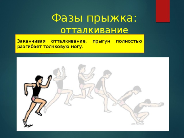 Фазы прыжка: отталкивание Заканчивая отталкивание, прыгун полностью разгибает толчковую ногу. 