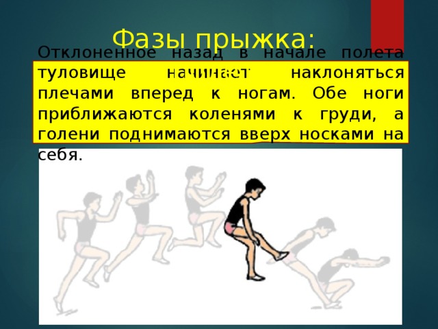 Фазы прыжка: полет Отклоненное назад в начале полета туловище начинает наклоняться плечами вперед к ногам. Обе ноги приближаются коленями к груди, а голени поднимаются вверх носками на себя. 