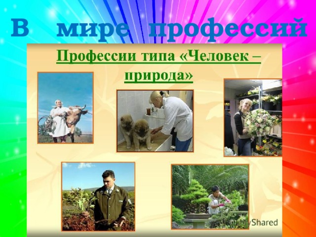 В мире профессий 