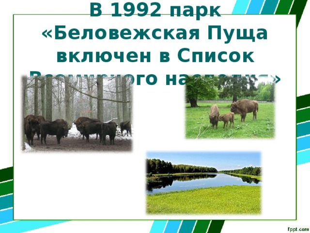 В 1992 парк «Беловежская Пуща включен в Список Всемирного наследия» 
