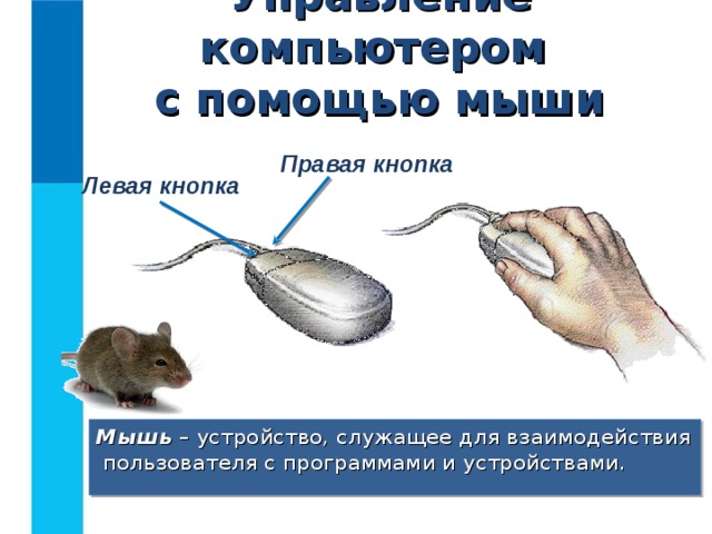 Управление компьютером  с помощью мыши Правая кнопка Левая кнопка Мышь – устройство, служащее для взаимодействия пользователя с программами и устройствами. 