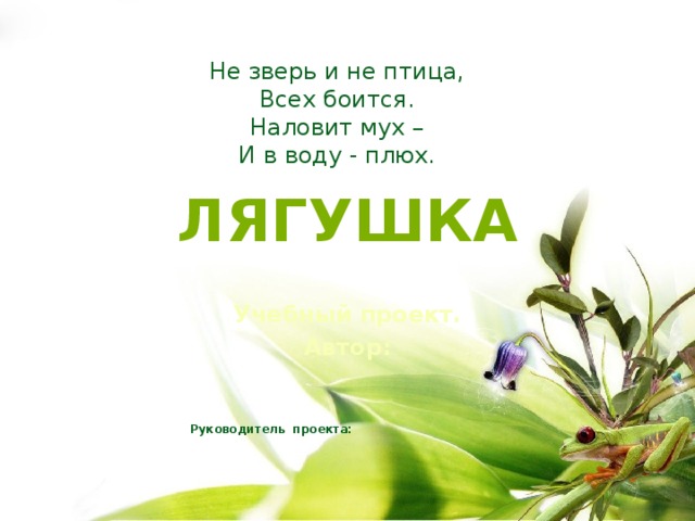 Не зверь и не птица, Всех боится. Наловит мух – И в воду - плюх. ЛЯГУШКА Учебный проект. Автор:  Руководитель проекта: