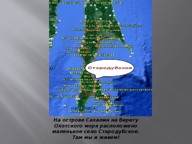 На острове Сахалин на берегу Охотского моря расположено маленькое село Стародубское. Там мы и живем! На острове Сахалин на берегу Охотского моря расположено маленькое село Стародубское. Там мы и живем!  