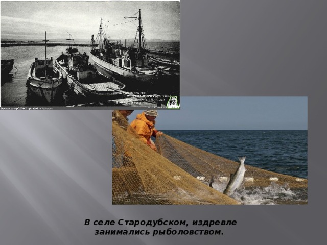 В селе Стародубском, издревле занимались рыболовством. 