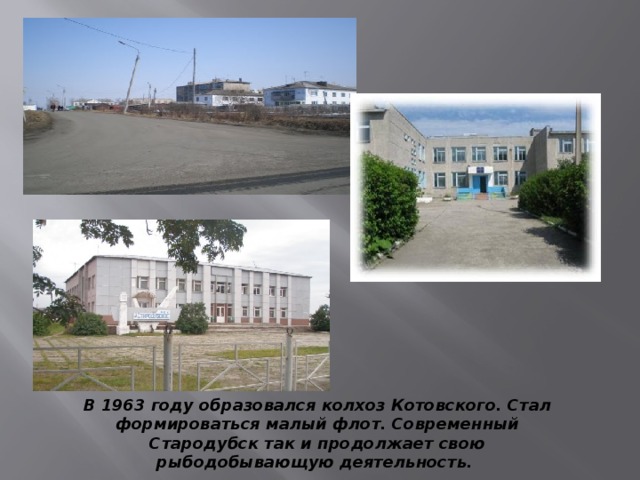 В 1963 году образовался колхоз Котовского. Стал формироваться малый флот. Современный Стародубск так и продолжает свою рыбодобывающую деятельность.  