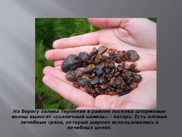 На берегу залива Терпения в районе поселка штормовые волны выносят «солнечный камень» – янтарь. Есть иловые лечебные грязи, которые широко использовались в лечебных целях.  