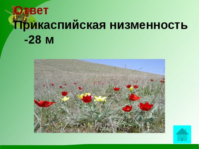 Ответ  Прикаспийская низменность -28 м    