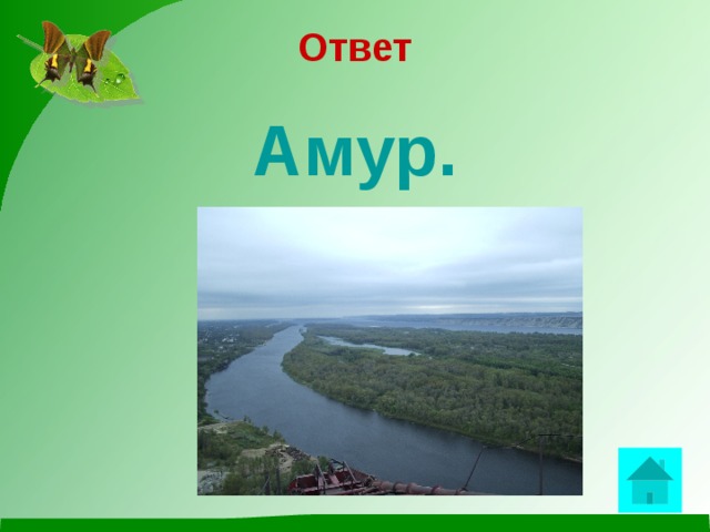 Ответ  Амур.  