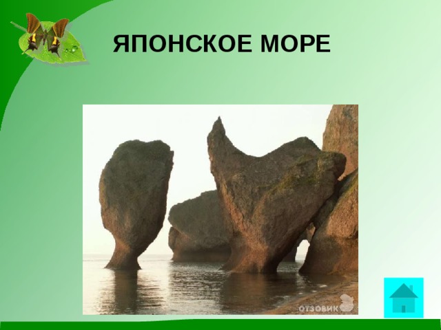 ЯПОНСКОЕ МОРЕ  