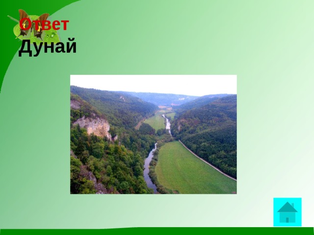 Ответ  Дунай    