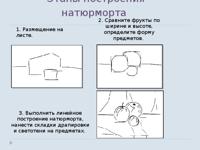 Этапы построения натюрморта  2. Сравните фрукты по ширине и высоте, определите форму предметов. 1. Размещение на листе. 3. Выполнить линейное построение натюрморта, нанести складки драпировки и светотени на предметах. 