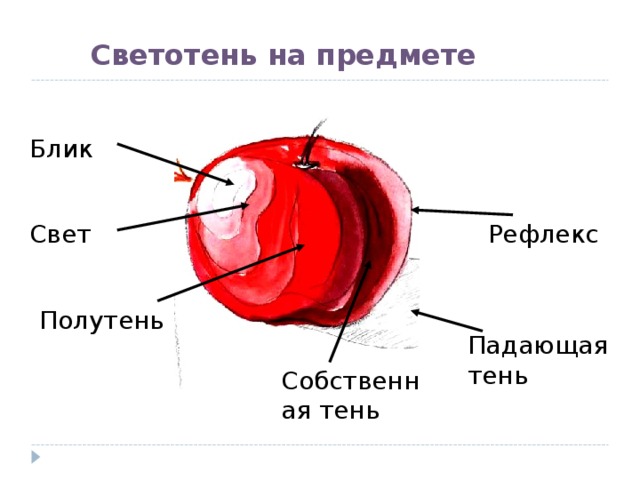 Светотень на предмете  Блик Свет Рефлекс Полутень Падающая тень Собственная тень 