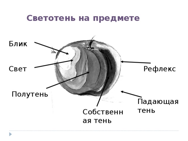 Светотень на предмете  Блик Свет Рефлекс Полутень Падающая тень Собственная тень 