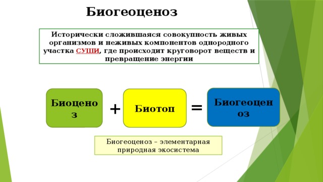 Биогеоценоз Исторически сложившаяся совокупность живых организмов и неживых компонентов однородного участка  СУШИ , где происходит круговорот веществ и превращение энергии Биогеоценоз Биоценоз Биотоп = + Биогеоценоз – элементарная природная экосистема 