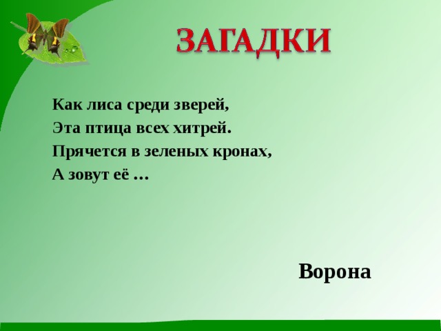 Как лиса среди зверей, Эта птица всех хитрей. Прячется в зеленых кронах, А зовут её … Ворона 
