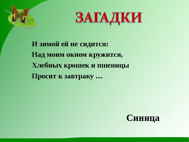 И зимой ей не сидится: Над моим окном кружится, Хлебных крошек и пшеницы Просит к завтраку … Синица 