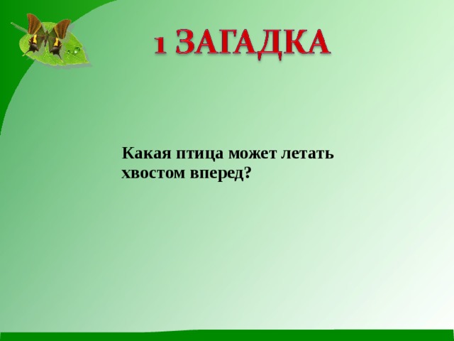 Какая птица может летать хвостом вперед? 