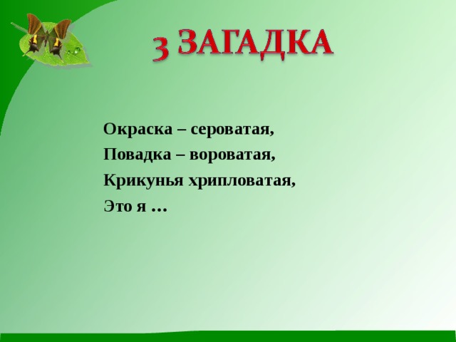 Окраска – сероватая, Повадка – вороватая, Крикунья хрипловатая, Это я … 