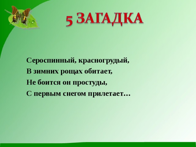 Сероспинный, красногрудый, В зимних рощах обитает, Не боится он простуды, С первым снегом прилетает… 