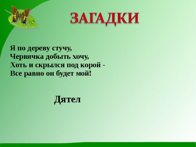 Я по дереву стучу, Червячка добыть хочу,  Хоть и скрылся под корой -  Все равно он будет мой! Дятел 